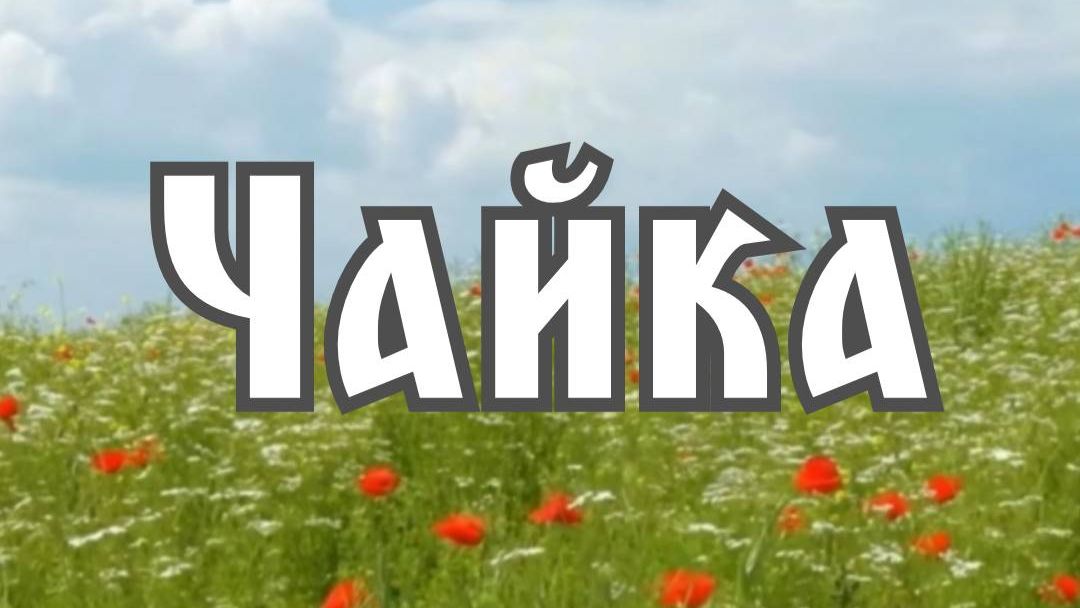 ЭДИТ ДЛЯ ЧАЙКИ