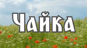 ЭДИТ ДЛЯ ЧАЙКИ