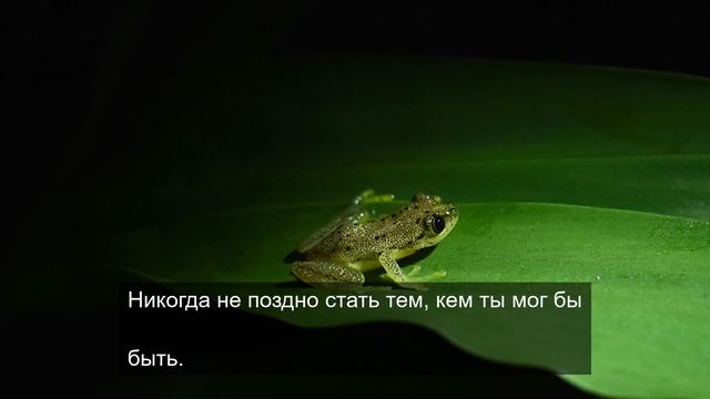 Прекрасная погода под этот трек 11 смотреть онлайн