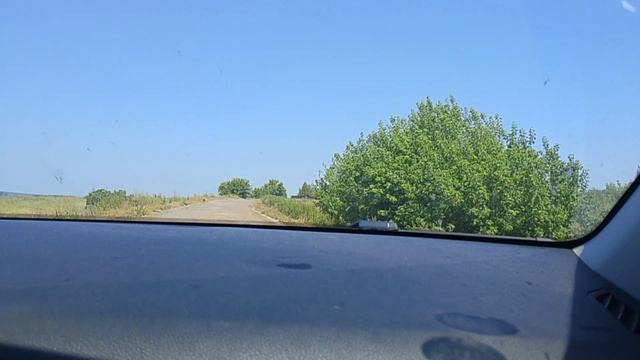 птицы смотреть онлайн