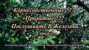 Корнесобственные. Привитые. Послушайте В.Железова. Серия 2.