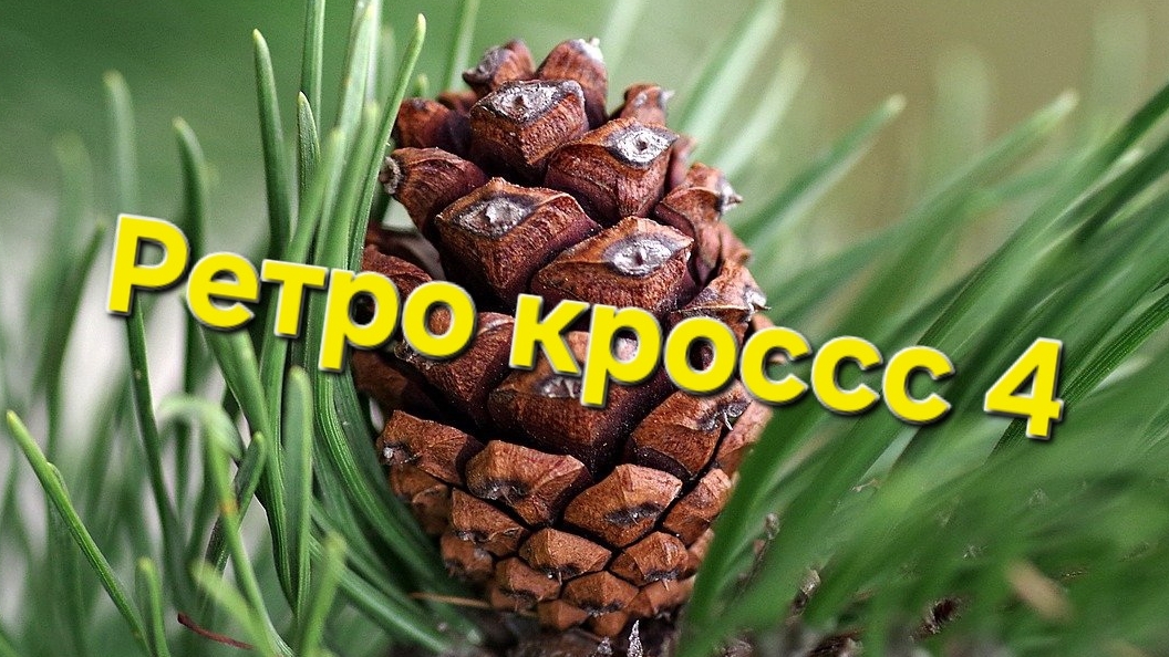 Ретро кросс четыре