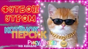 КОТЁНОК ПЕРСИК футбол утром