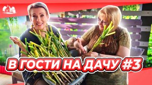 В гости на дачу выпуск №3 |17 лет после «Фазенды» Что осталось? Наталья Федоровна Московская область