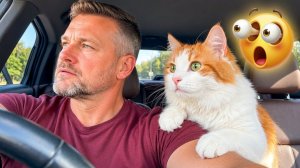 Постарайтесь не засмеяться! 😂😹 Когда ваша кошка копирует все, что вы делаете 😹 Смешные видео