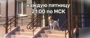 ПРЕМЬЕРА 2026 мультфильма о животных из приюта - герои реальные животные | Тизер 2 cерии
