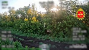 Боевая работа подразделения ВБС «Амур» 💥🇷🇺👊