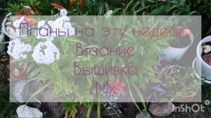 💥Планы на неделю: вязание, вышивка мк