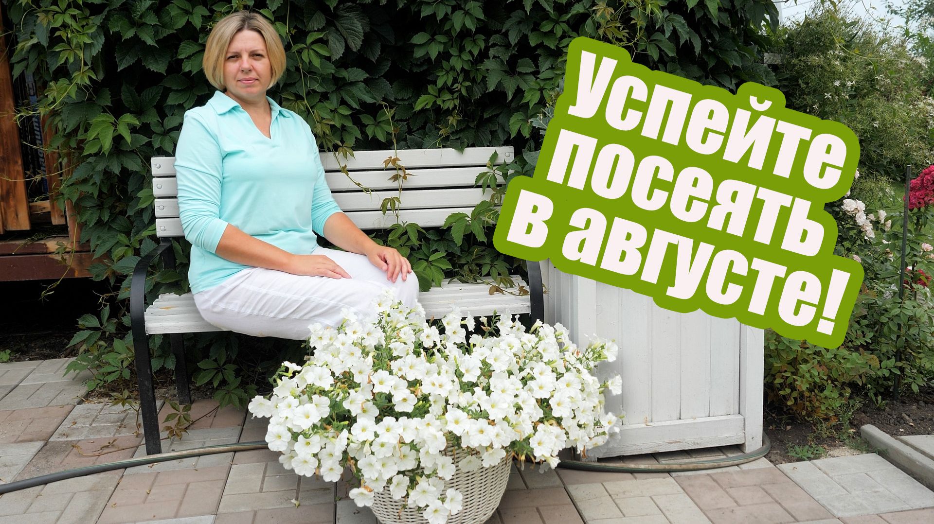 Что сеять в августе: сажаем овощи и цветы смотреть онлайн