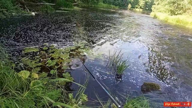 Такая вот рыбалочка👣🎣🤷