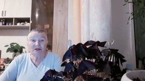 АНЕКДОТЫ ПРО БАНЮ -