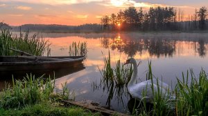 СБОРНАЯ СОЛЯНКА МОИХ НОВОСТЕЙ