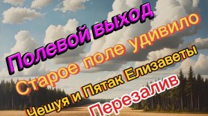 Перезалив!! Полевой выход. Старое поле удивило! Чешуя и Пятак Елизаветы!!