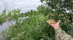 Линёвое озерко