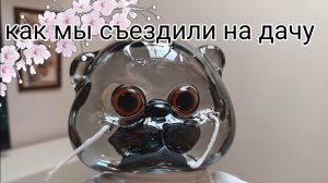 Как мы съездили на дачу с басиком 🔥🌈
