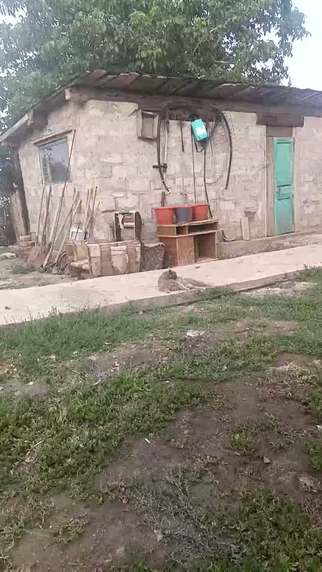 Отдыхаю смотреть онлайн