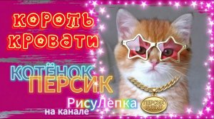 КОТЁНОК ПЕРСИК король кровати