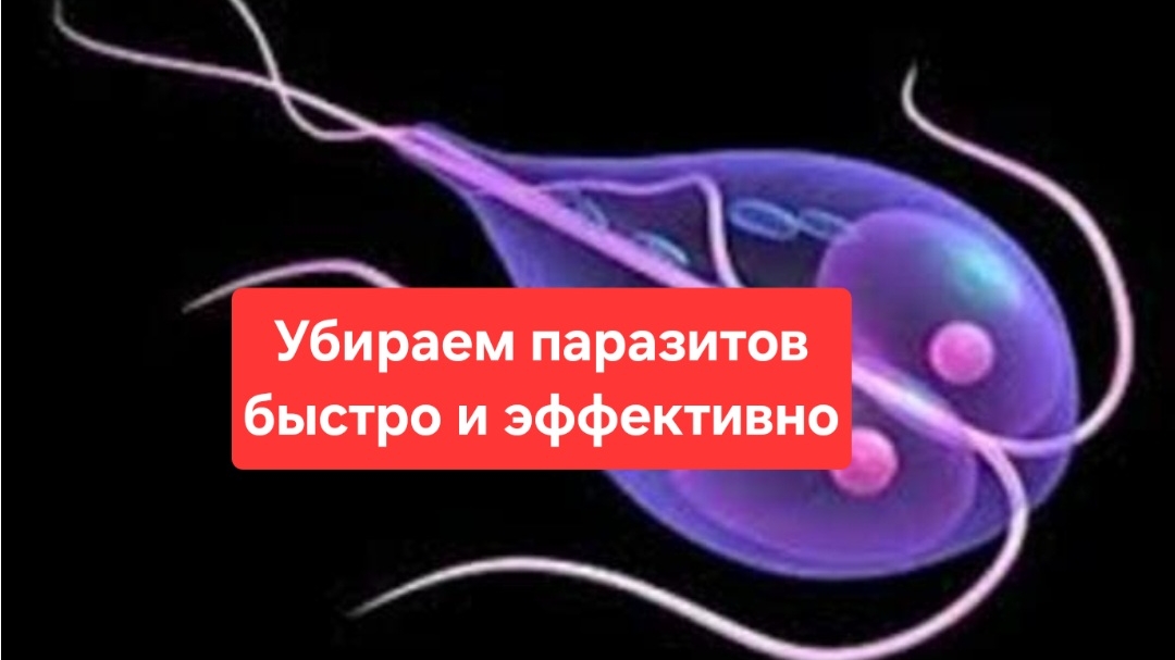 Как быстро и эффективно очистить организм от паразитов👆 смотреть онлайн