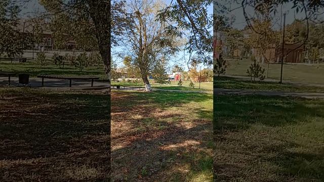 1000009772.mp. Дневные прогулки