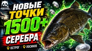 🤑 ТОП-3 ТОЧКИ ФАРМА РР4 (27.07)! СВОДКА по ВОДОЕМАМ РР4 Фарм СЕРЕБРА! ОСТРОГ • ЛОСИНОЕ