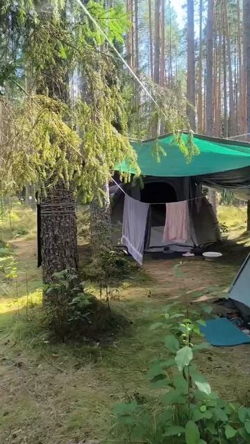 Город выгнал нас в палатки!