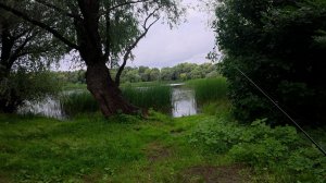 Нано мормышинг с обновленной черной мамбой
