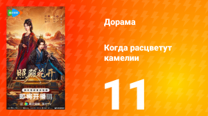 Когда расцветут камелии 11 серия