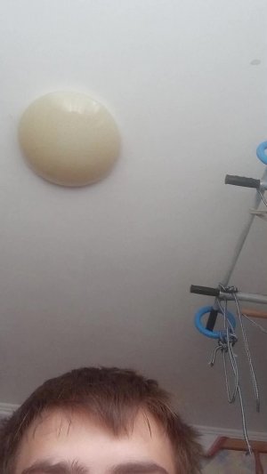 дом