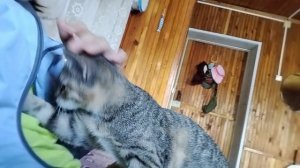 Какое-то видео с Аськой😺🐾💘Она передаёт вам привет😂