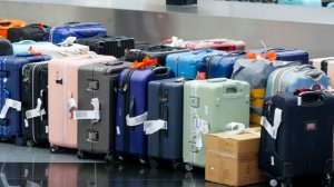В отпуск без чемоданов: в аэропорту Внуково произошел сбой в работе багажных лент