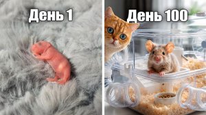 ОН ВЫРОС! Раскрываем имя мышонка и заселяем его в НОВЫЙ ДОМ. Кот Локи нас ШОКировал!