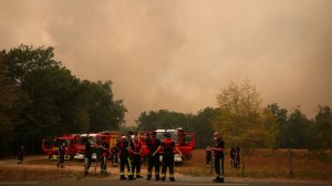 Бессильны без России? Почему Франция и Испания не справляются с лесными пожарами
