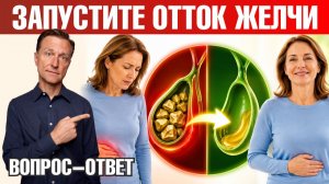 Застой желчи? Как наладить отток желчи и работу желчного пузыря🧐