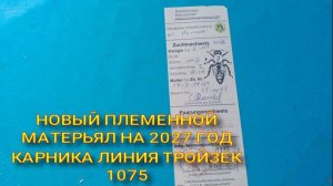 новый племенной материал на 2027 год