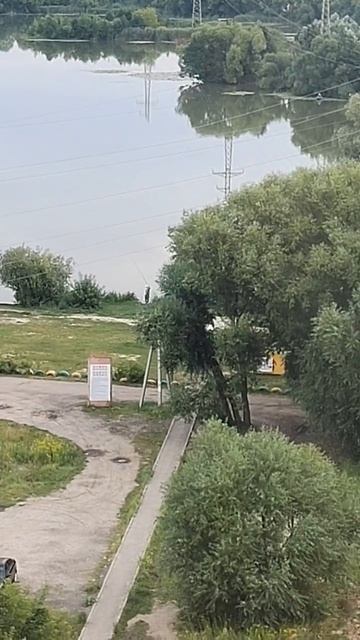 16902670387891 смотреть онлайн