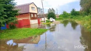 Последствия ливневых дождей. Дары леса.Уральская смородина.