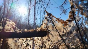 Шурпа из чирка. 9-ый день охоты на уток.