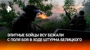 Освобождение Белицкого открыло ВС РФ путь к Доброполью