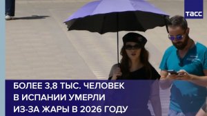 Более 3,8 тыс. человек в Испании умерли из-за жары в 2026 году
