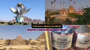 Египет, Шарм-Эль-Шейх, отдых, Красное море/Увидела пирамиды и чудо с вета спустя 25 лет