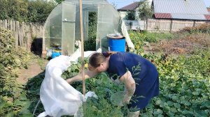 ПРОСТАЯ ЖИЗНЬ 45/ С УТРА В ПОЛBКЛИНИКУ/ПРИЕХАЛА СВЕКРОВЬ ПРОГУЛЯЛИСЬ ПО ГОРОДУ ПРИГОТОВИЛИ ВКУСНЫЙ