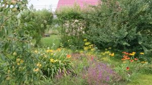 Цветники без особого труда. Делюсь своим опытом.
