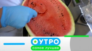 «Утро. Самое лучшее»: 27 июля 2026 года