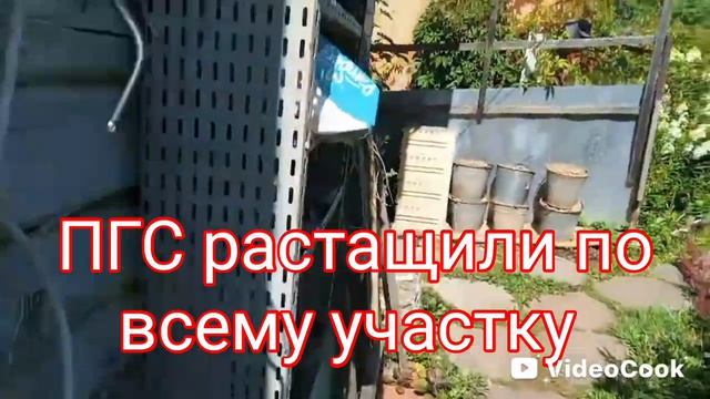 Овощи в парниках