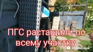 Овощи в парниках