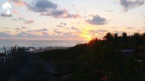 GENTLEMAN - DEEP HOUSE MIX (SUMMER 2026)