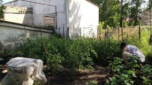 У МУЖА РЕАБИЛИТАЦИЯ, ПРИГЛАСИЛИ В ГОСТИ, ЖИЗНЬ СЕЛЬЧАН