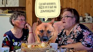 Русская лиричная песня на Дне рождения у тётьЛюды. Такую Веру почтальона вы не видели! И мы тоже!