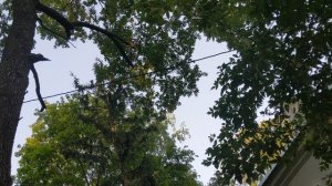 Два Павла из Артухи..помогли