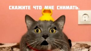 Нет идей ;(